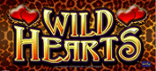 Wild Hearts